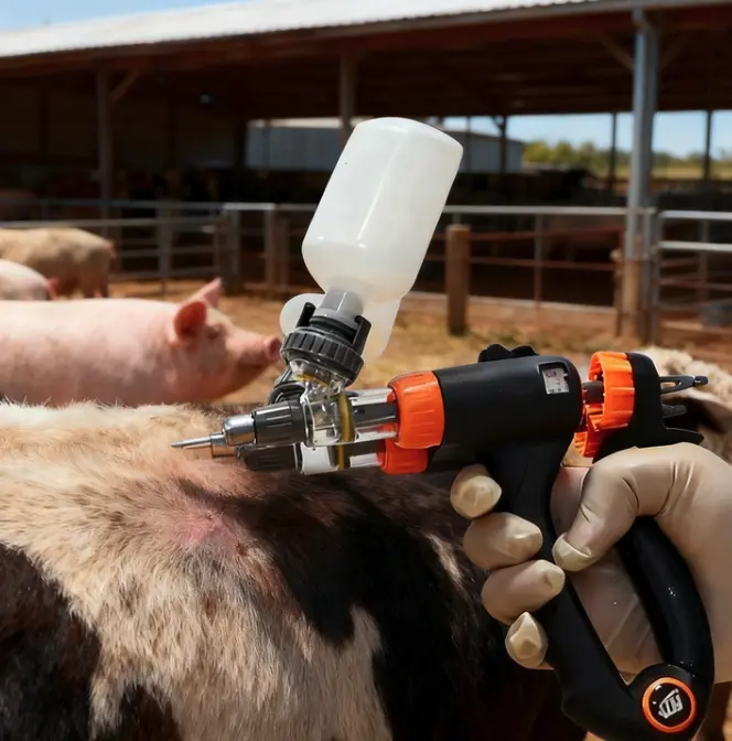 Effective Injection Techniques for Cattle, Buffalo, and Chickens