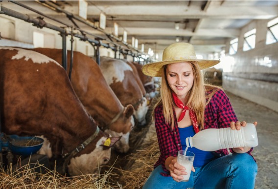 🐐 Must-Have Veterinary Equipment for Modern Livestock Operations