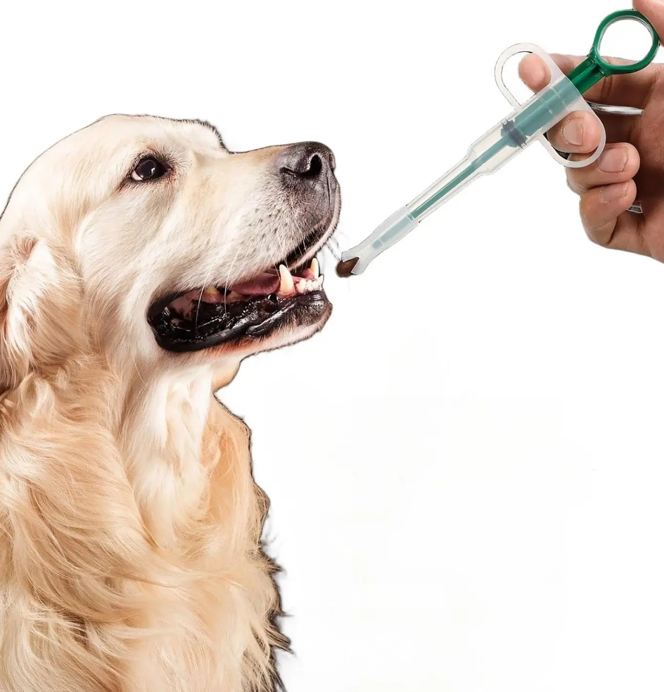 Essential Tools and Medications for Canine Care with Vetmedin Alternatives, Feeding Syringes, and Ear Infection Solutions