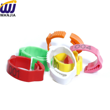 WJ774 Adjustable Poultry Leg Bands with Multi-Size Slots